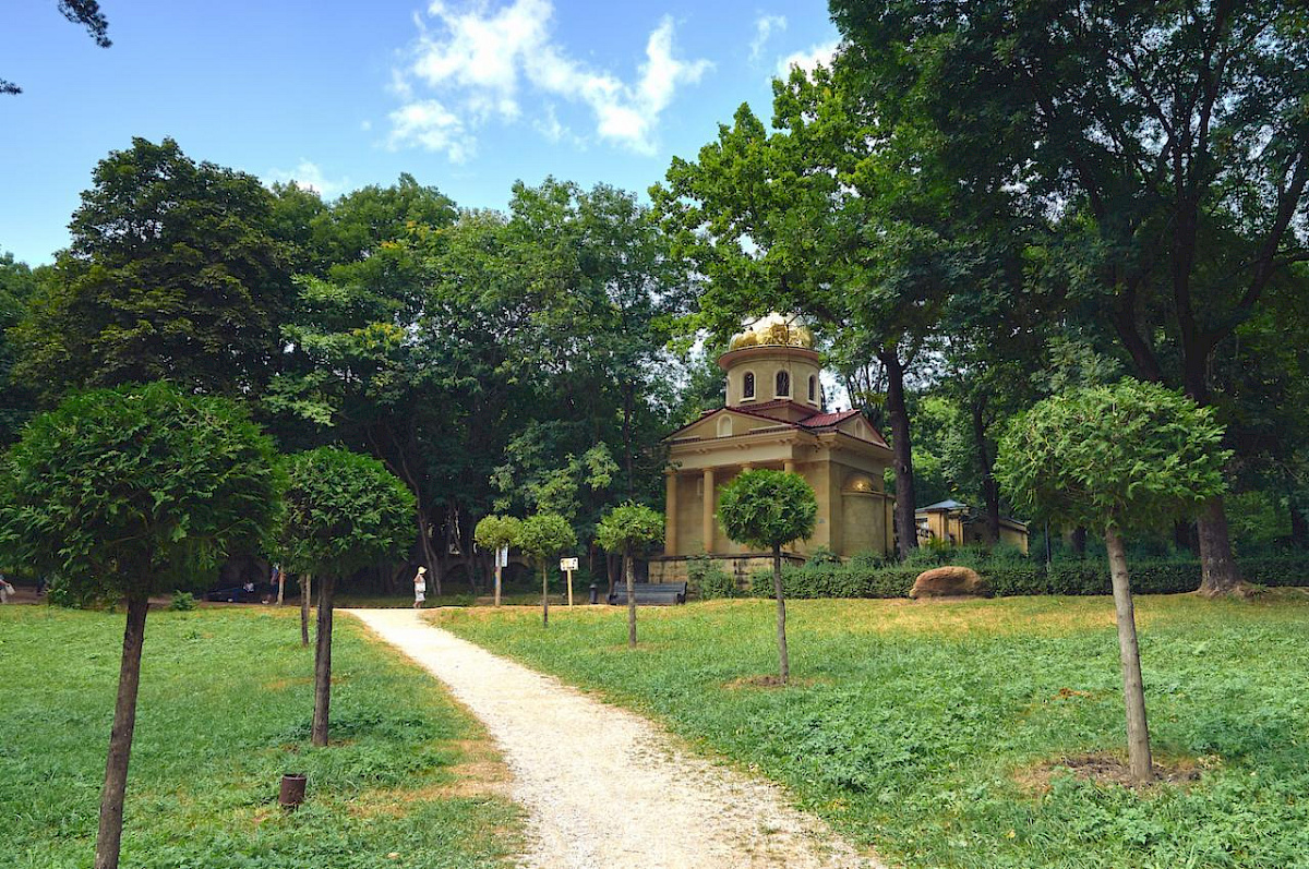 Аллея туи штамбовой в честь 70-летия Победы в ВОВ