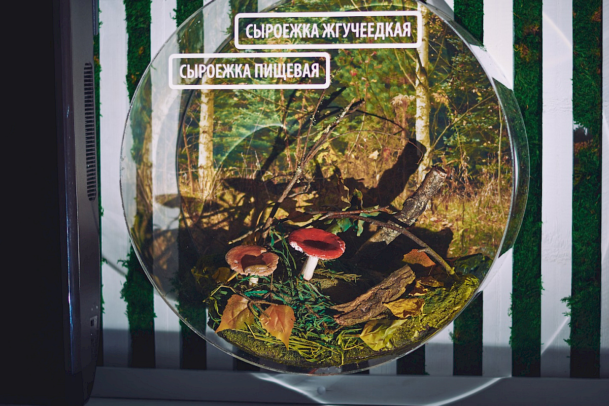 Визит-центр &mdash; фото 6