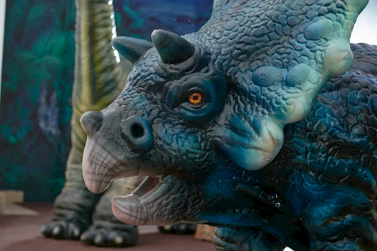 Визит-центр &mdash; фото 7