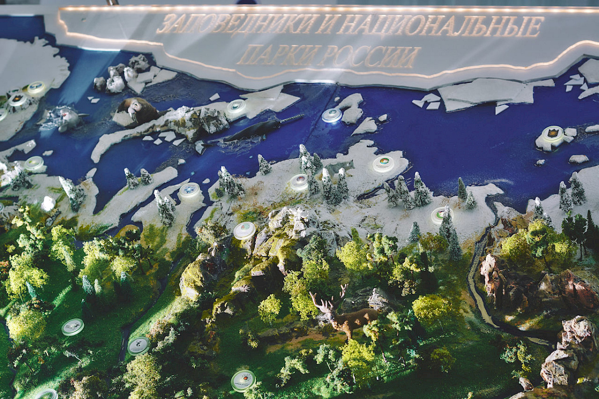 Визит-центр &mdash; фото 9