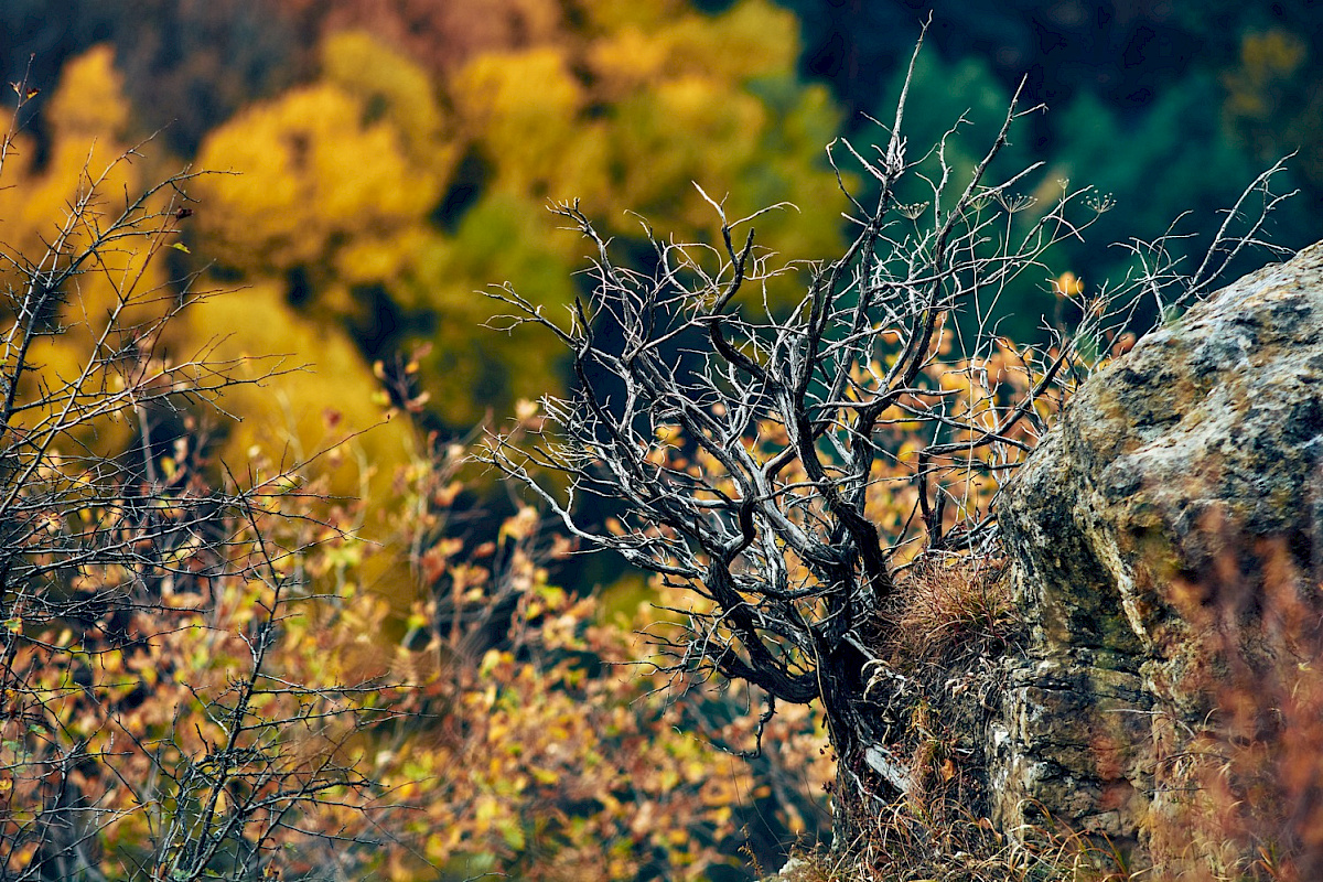 Гора &laquo;Малое седло&raquo; &mdash; фото 4