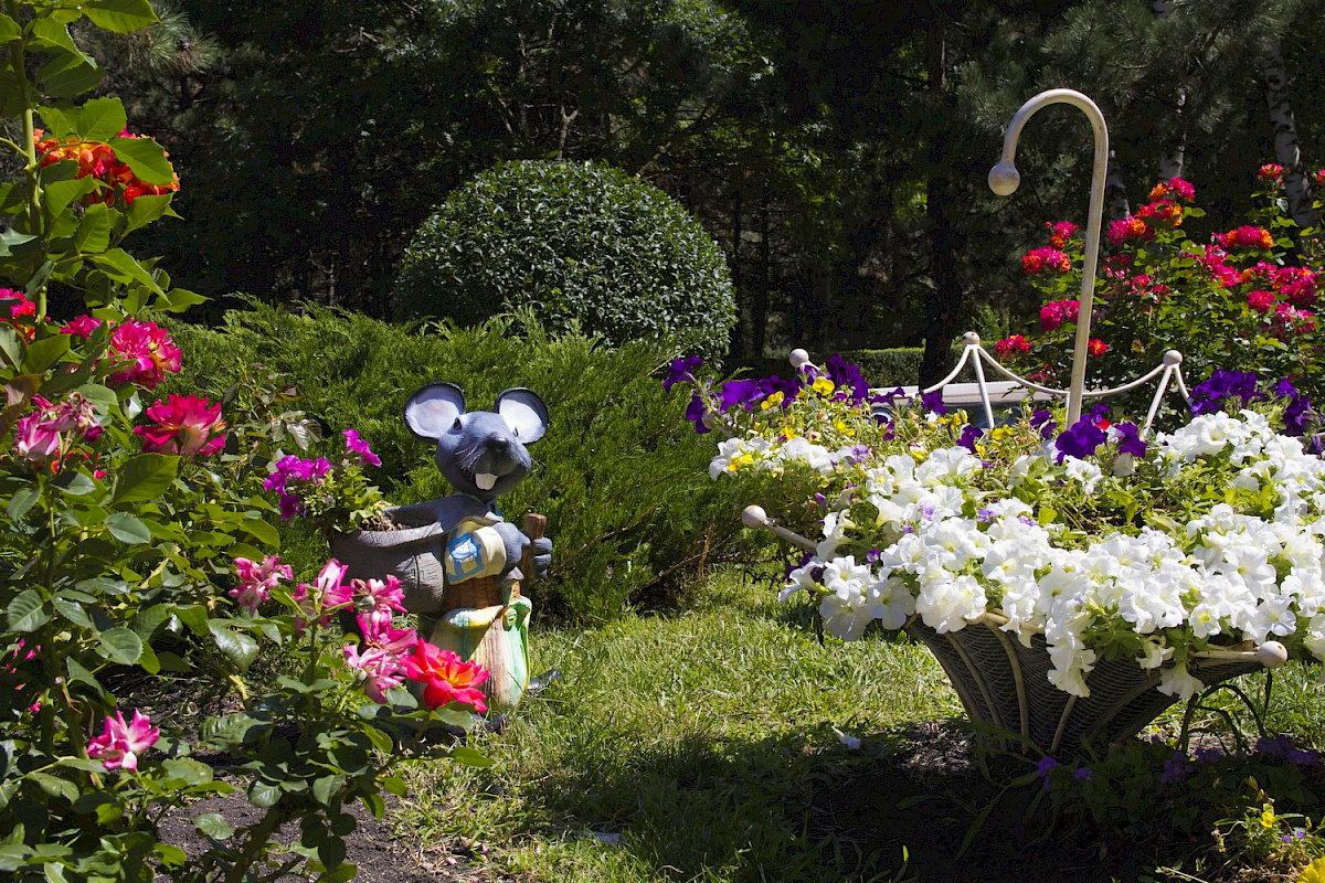 Фото отеля 5